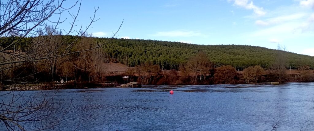 Paisaje del Canal de Castilla en Alar del Rey con el río y bosque al fondo
