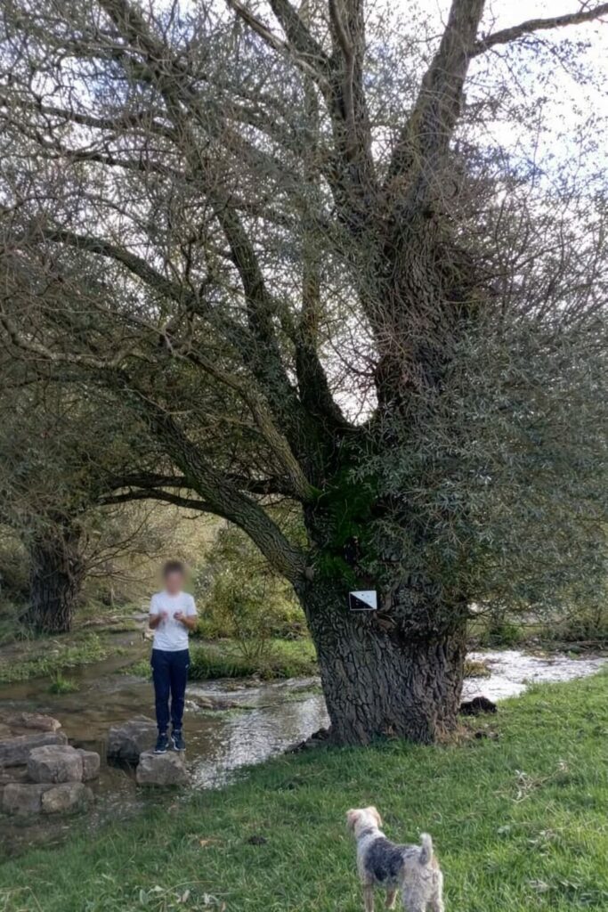 Paseo tranquilo por el entorno natural de Amaya con niños
