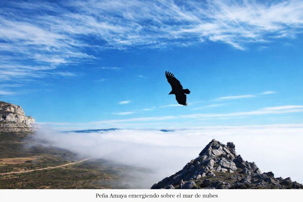 Buitre volando sobre la Peña Amaya emergiendo del mar de nubes en Burgos, espacio ZEPA.
